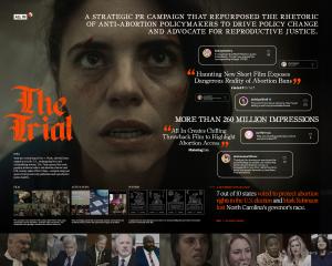 The Trial (Film)