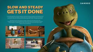 Slow & Steady